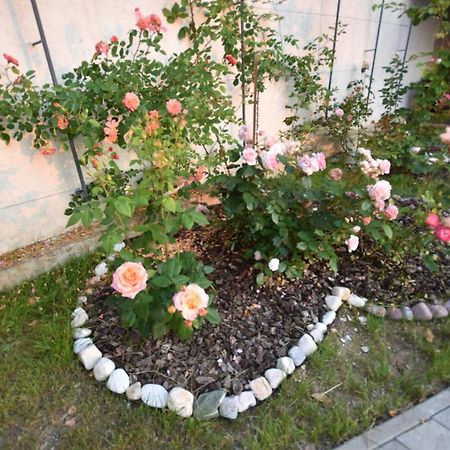Apartmaji Lejardin 斯科吉卡 外观 照片
